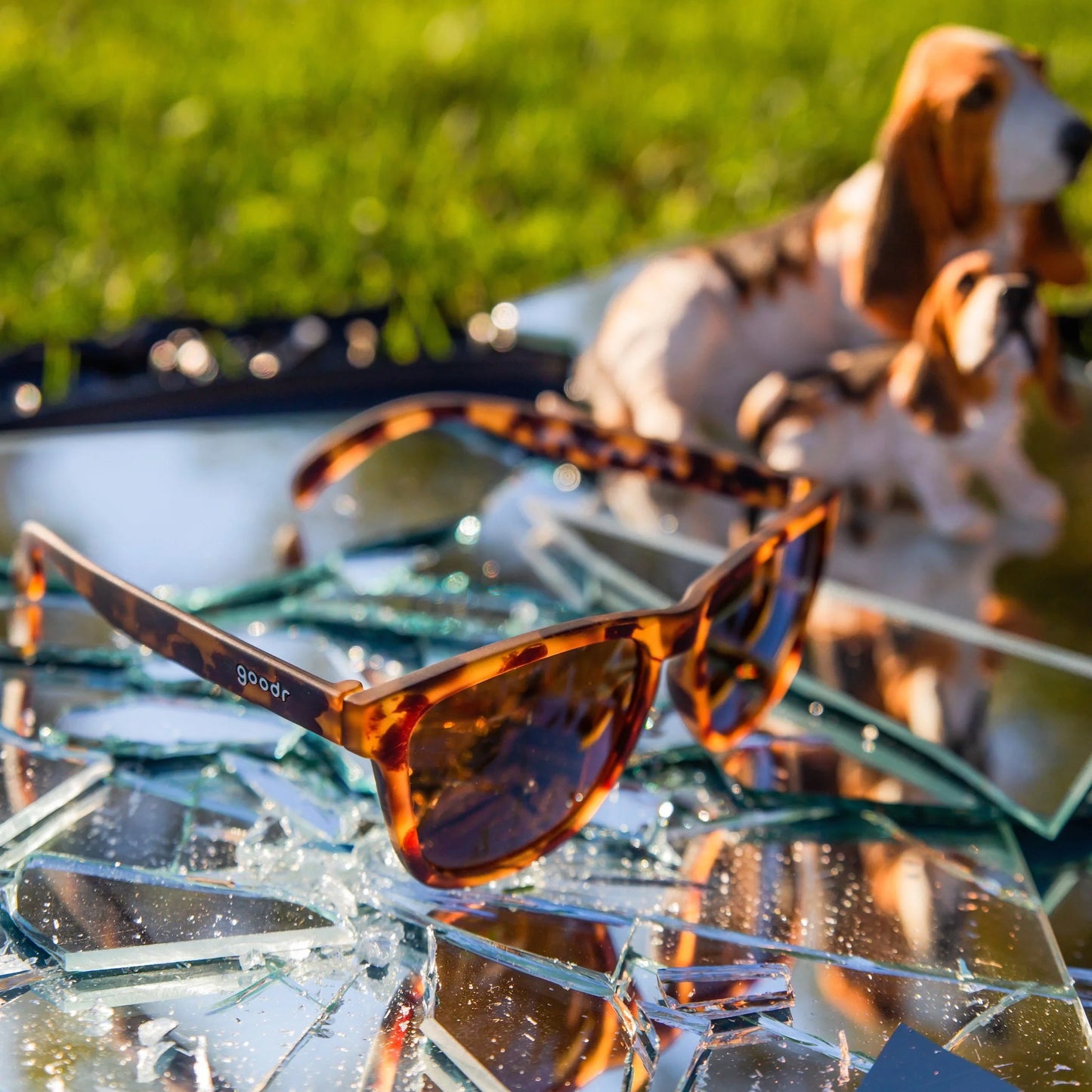 "BOSLEY’S BASSET HOUND DREAMS"