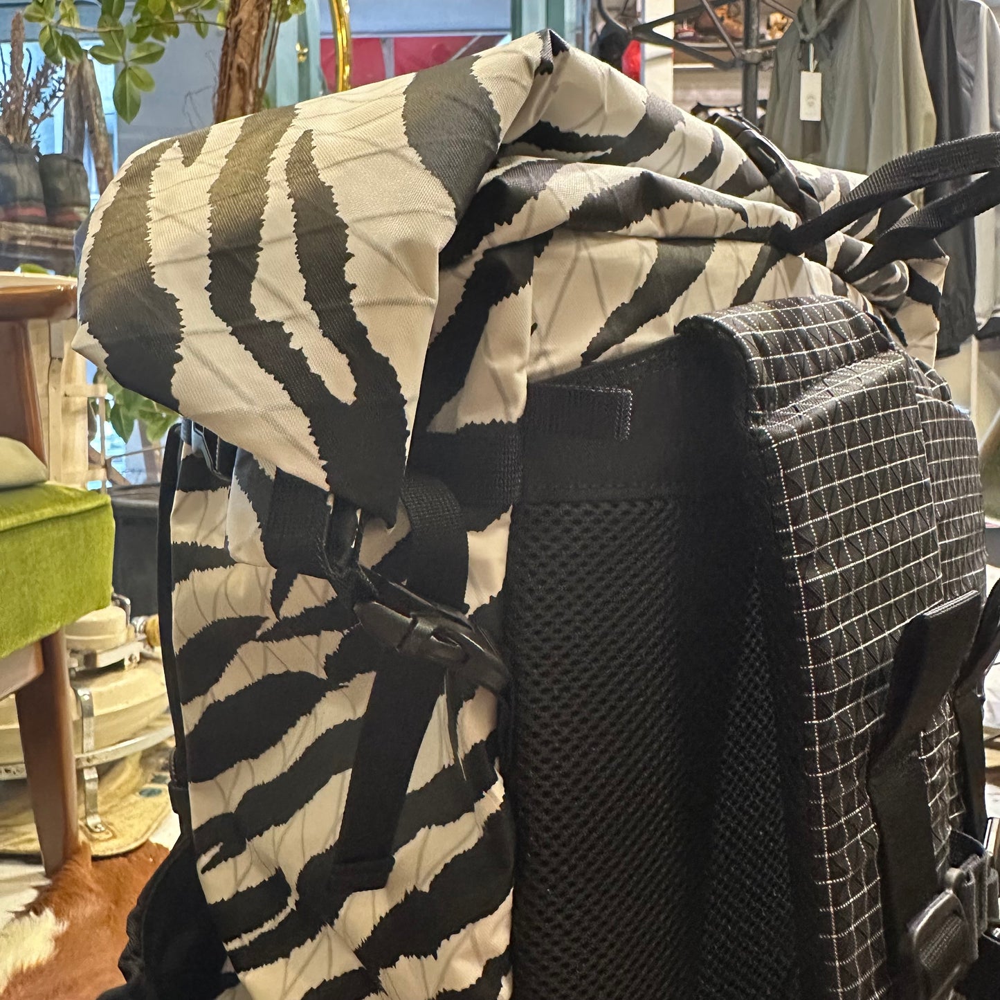 "2025 LLIMITED EDITION CHORUS ZEBRA X-PAC"