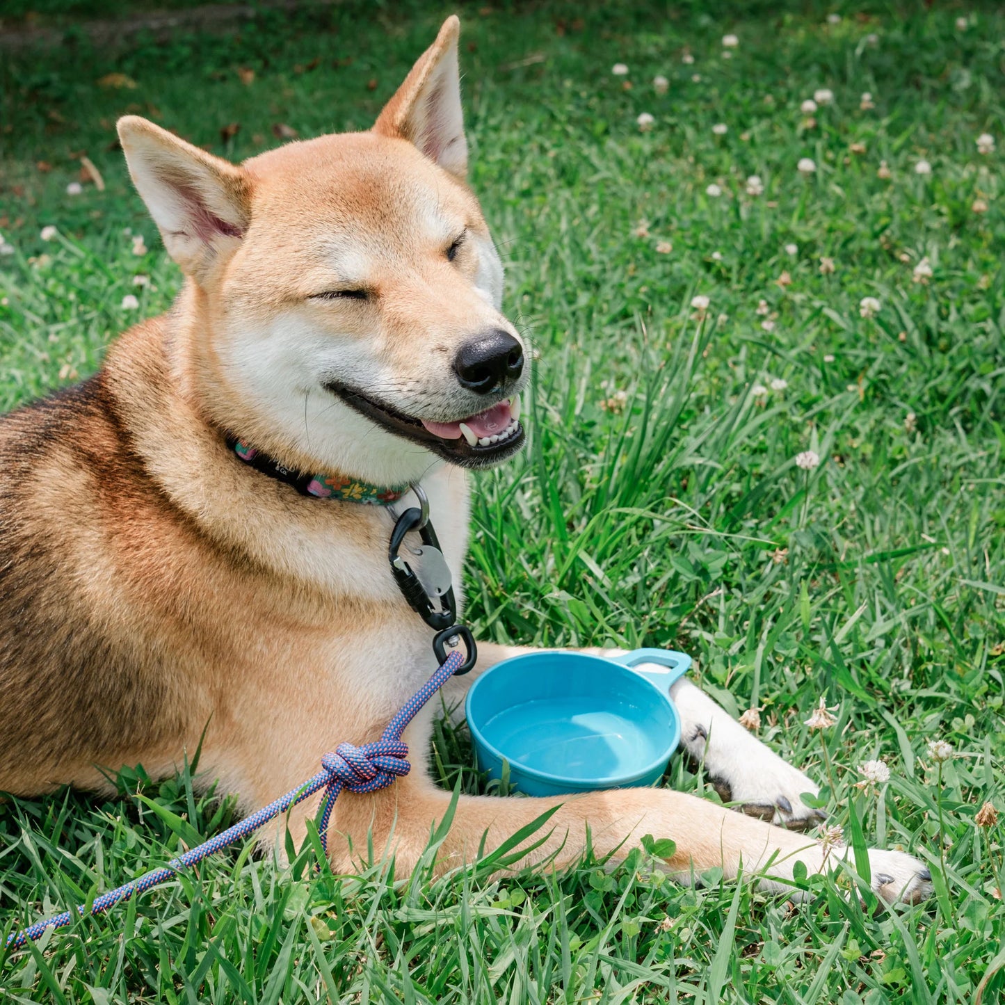 "KASA BOWL"