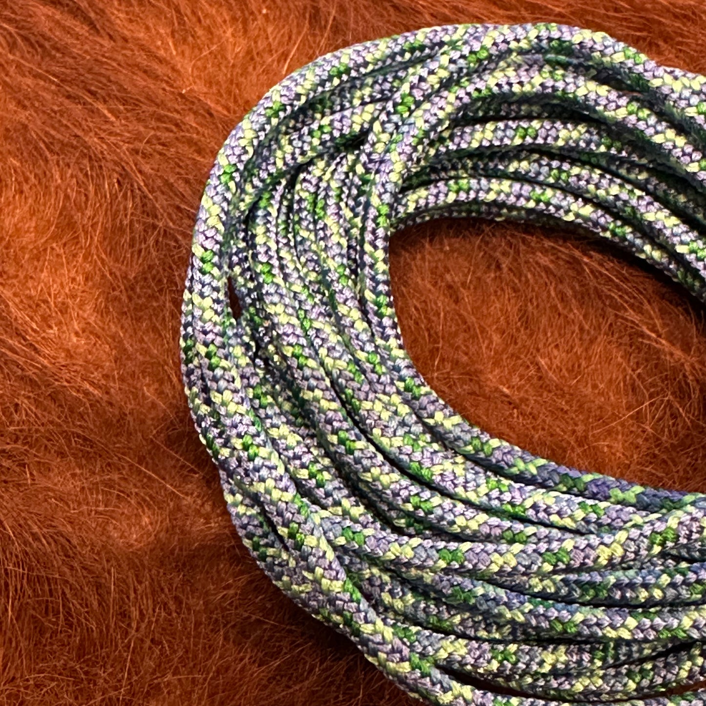 "PROC SHOE LACES"