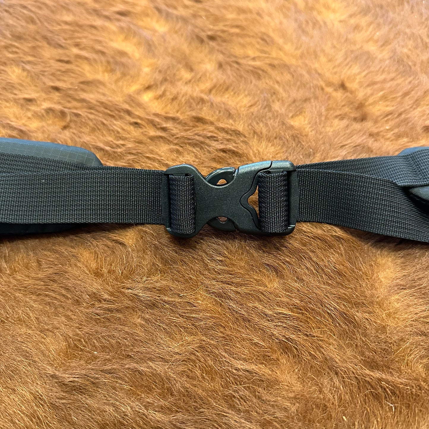 "MINIMALISTS PADDED HIP BELT / S"