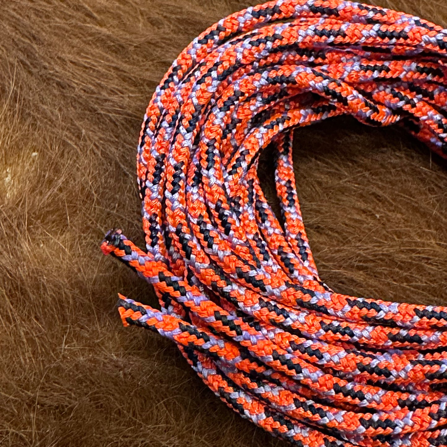 "PROC SHOE LACES"