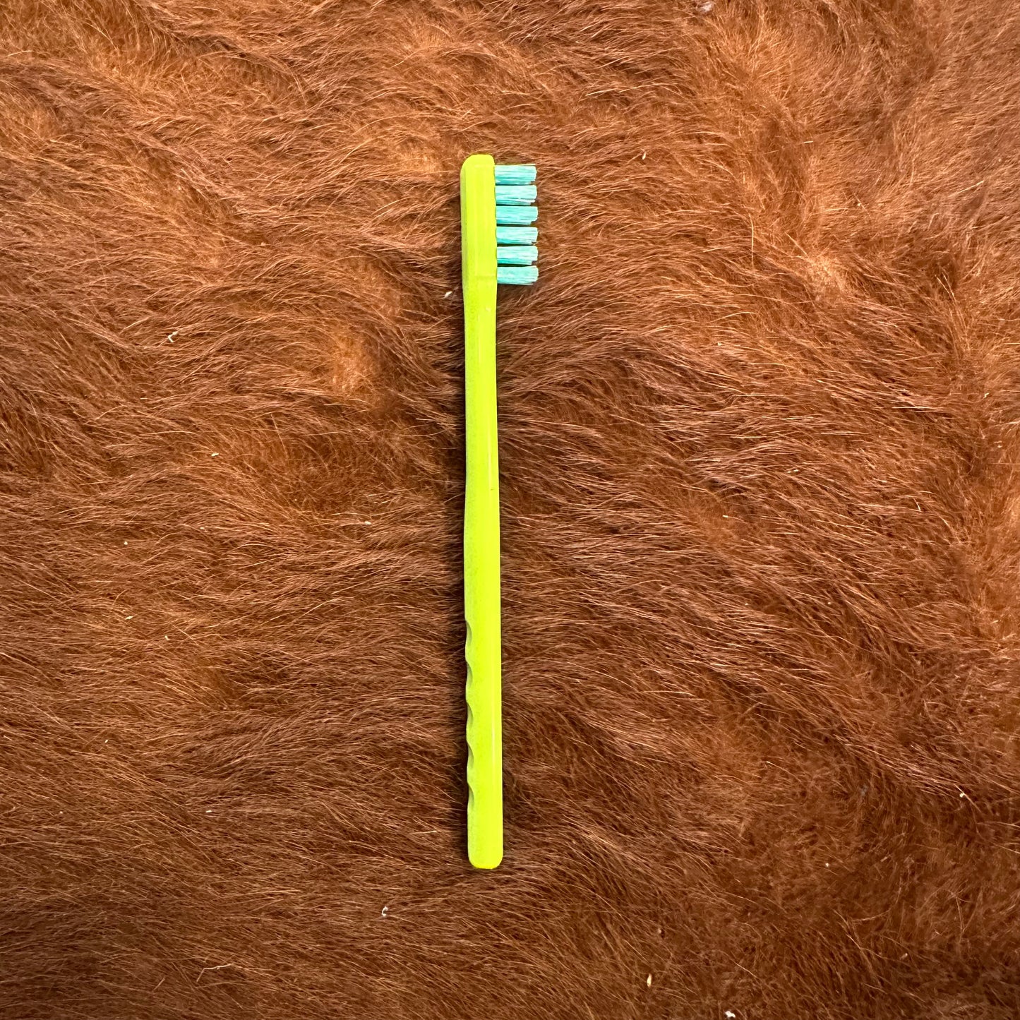 "FEATTHER BRUSH"