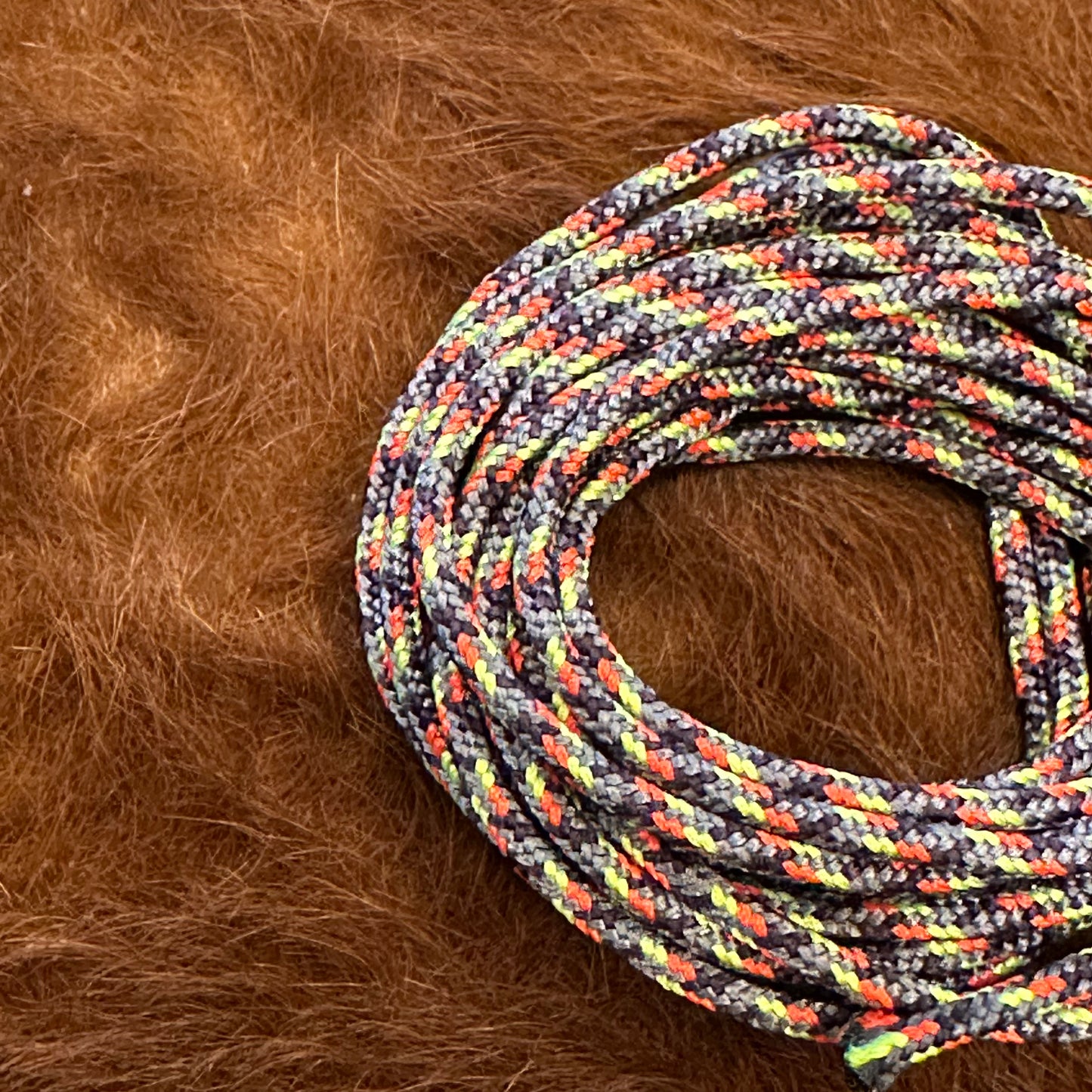 "PROC SHOE LACES"