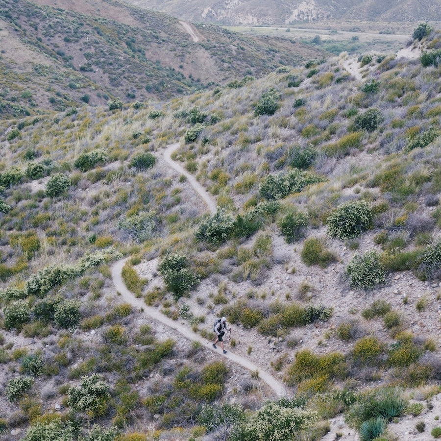 "TO TRAIL TO TOWN"