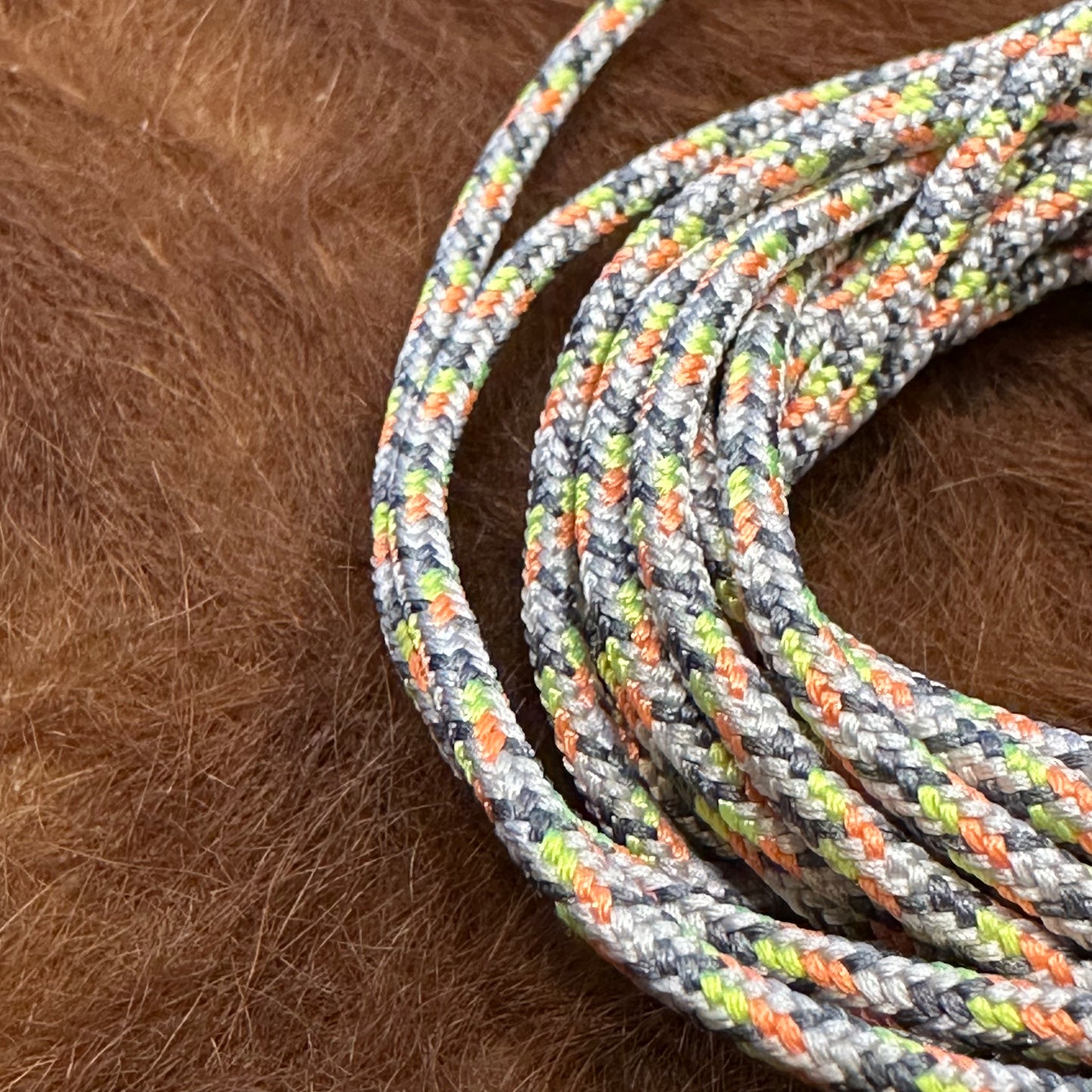 "PROC SHOE LACES"