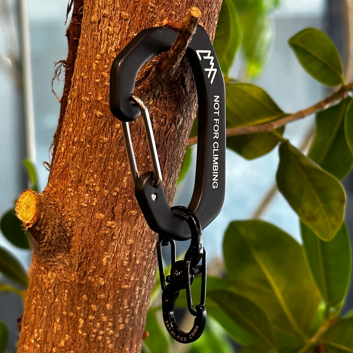 "CARABINER"