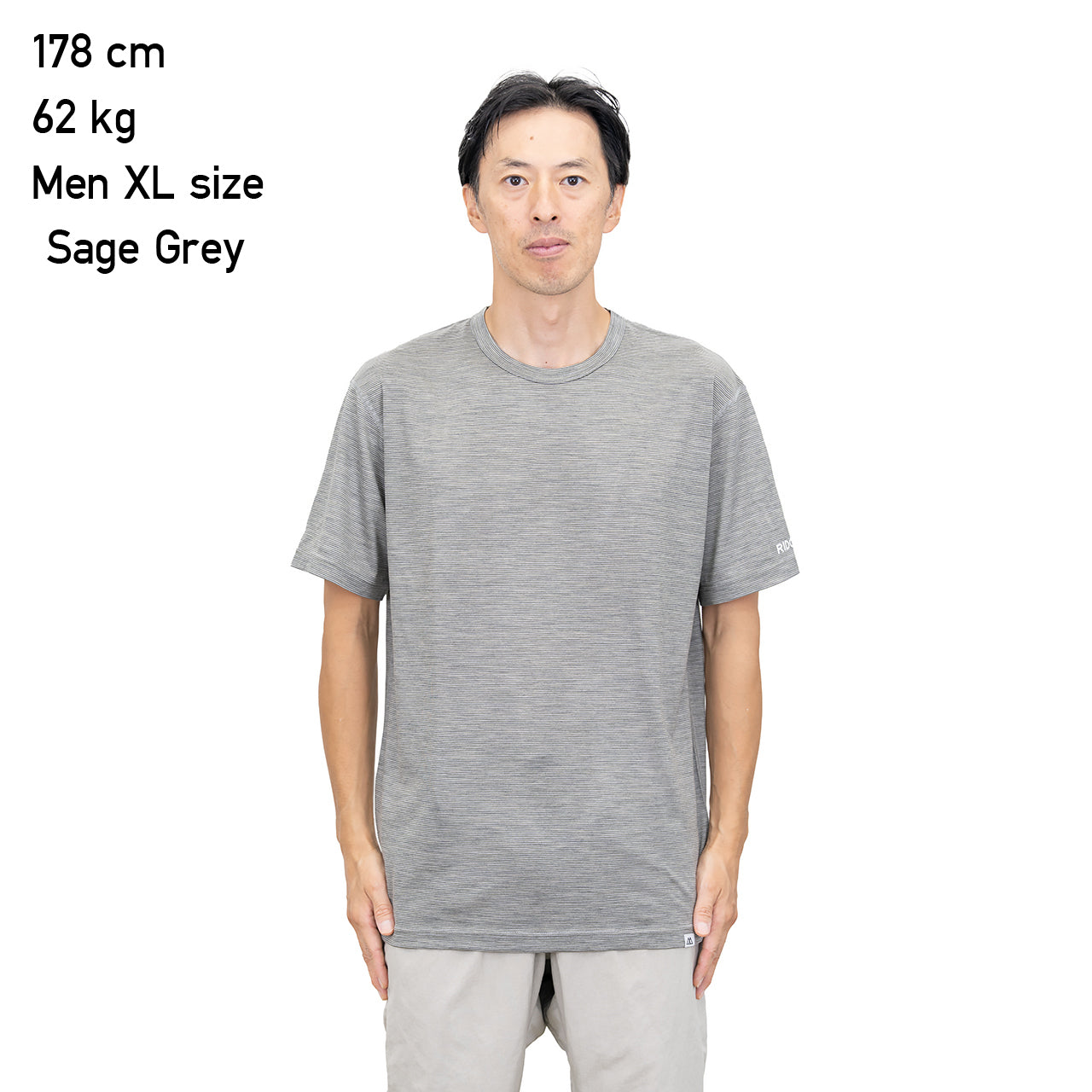 "MERINO BASIC SHORT SLEEVE TEE / MICRO BORDER"