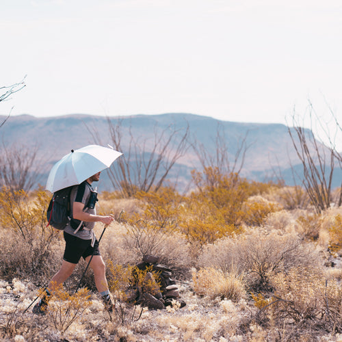 "LIGHTREK HIKING (CHROME) UMBRELLA / GOLD DOME ULTRALIGHT UMBRELLA"