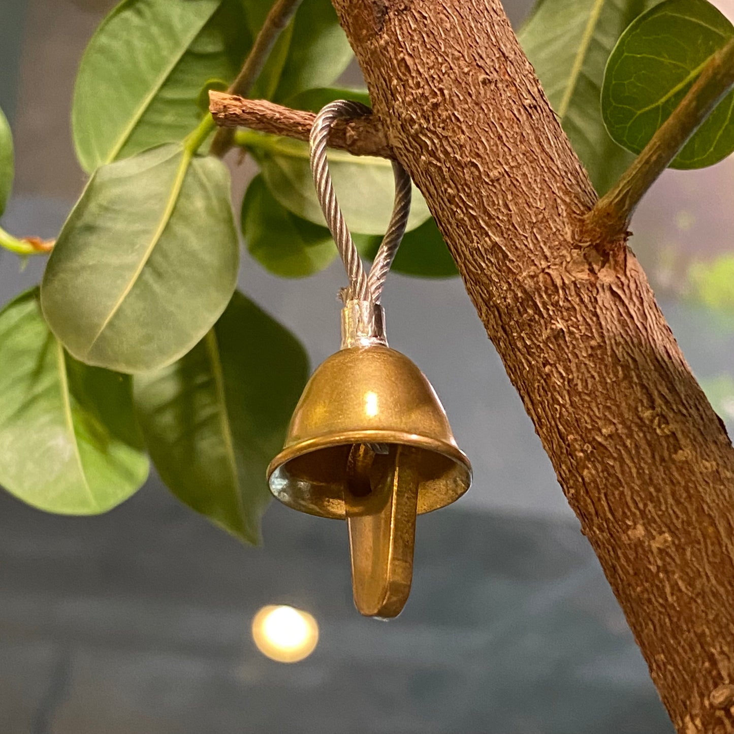 "mini BELL Ⅱ"