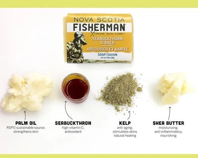 "BODY WASH BAR - SEABUCKTHORN AND SHEA"