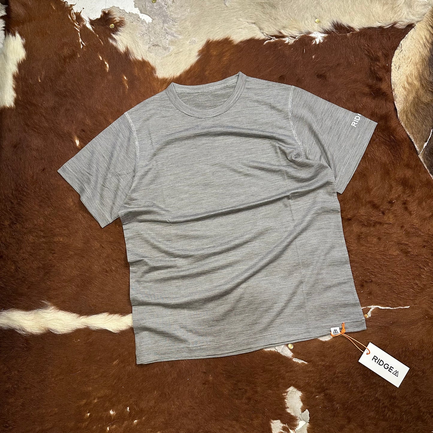 "MERINO BASIC SHORT SLEEVE TEE / MICRO BORDER"