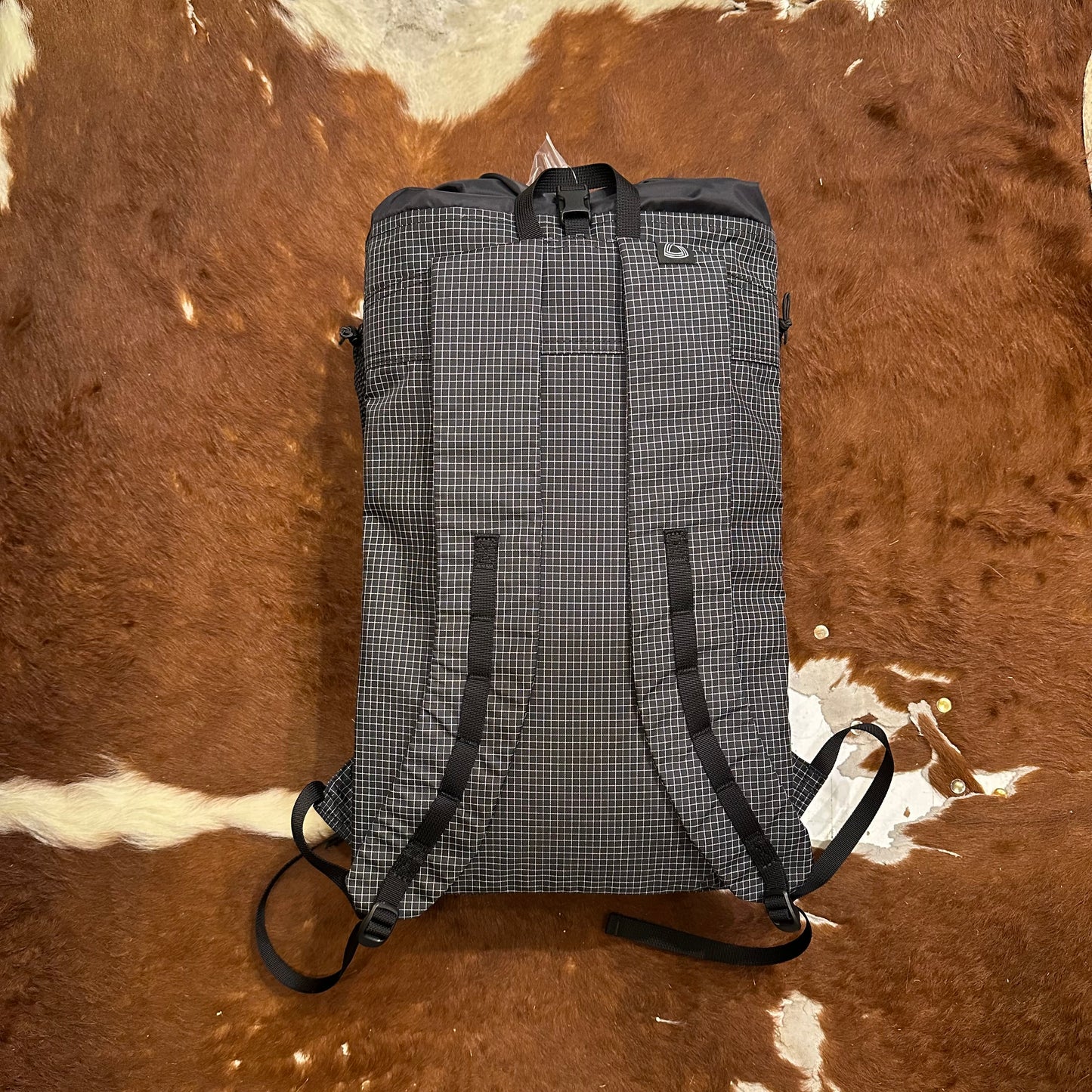 "BIG TURTLE / SPECTRA"