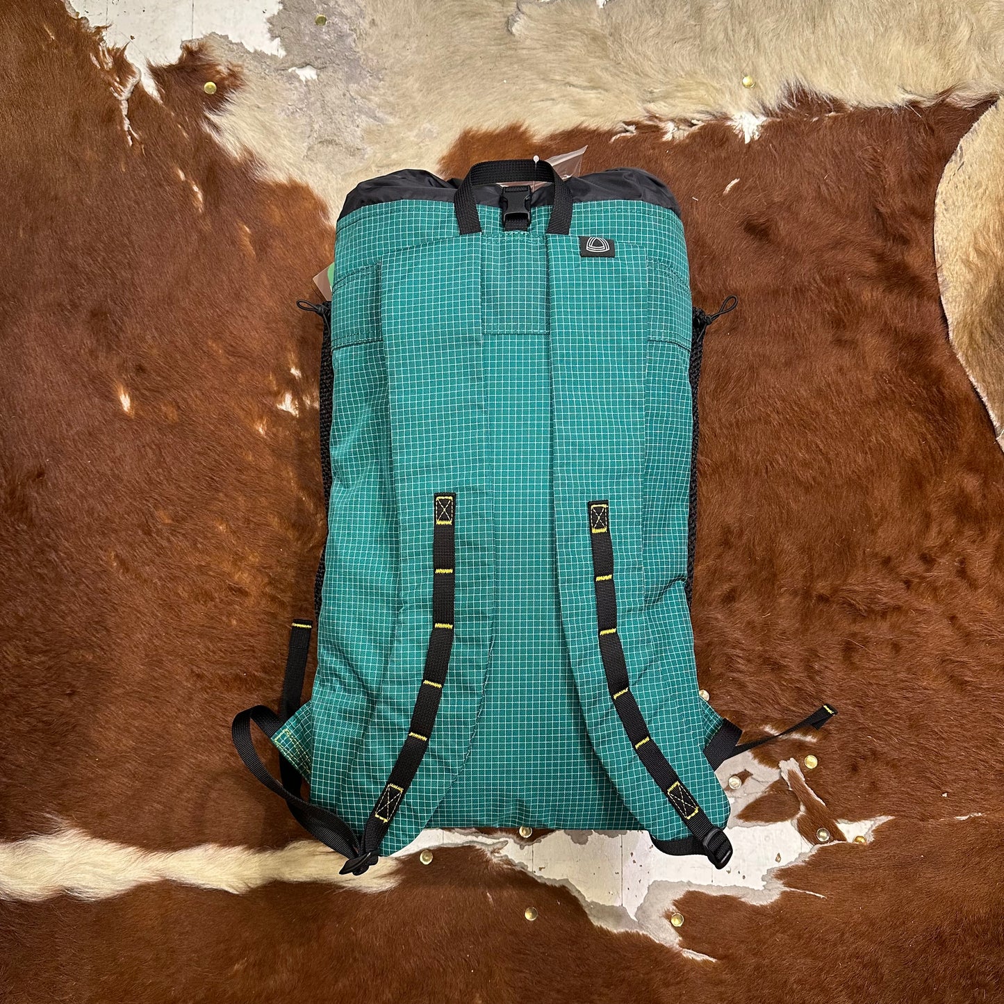 "BIG TURTLE / SPECTRA"