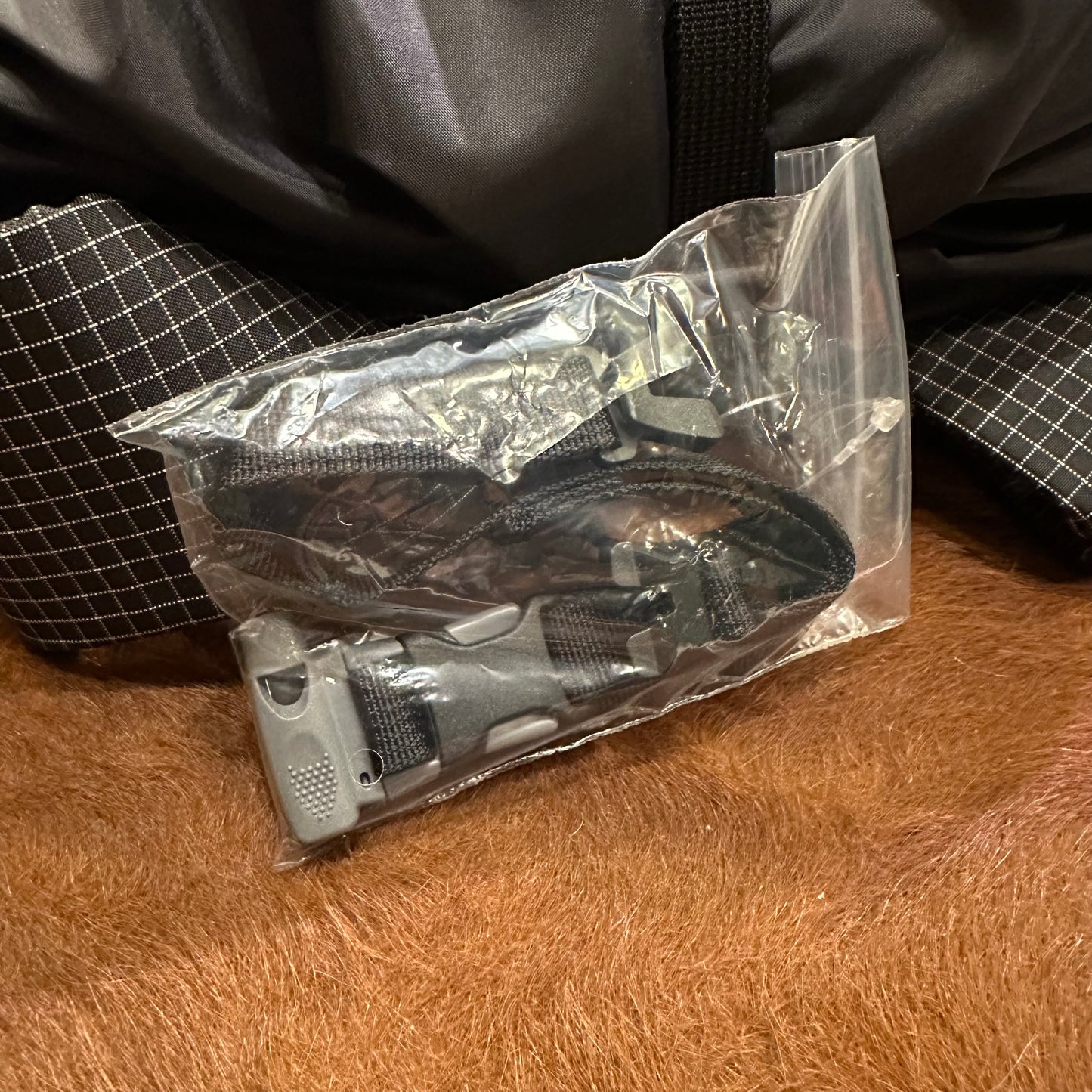 "BIG TURTLE / SPECTRA"