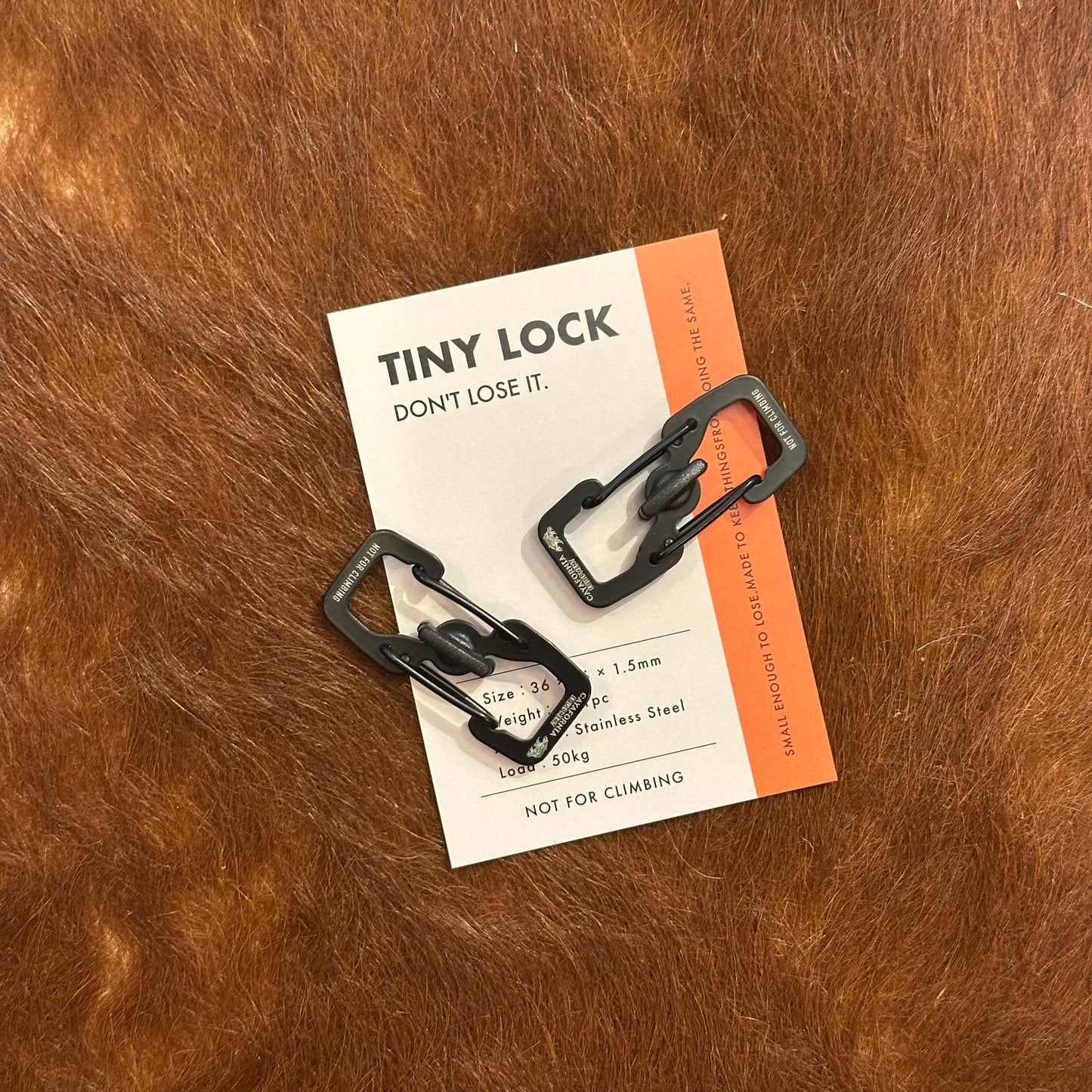 "TINY LOCK /  DON'T LOSE IT"