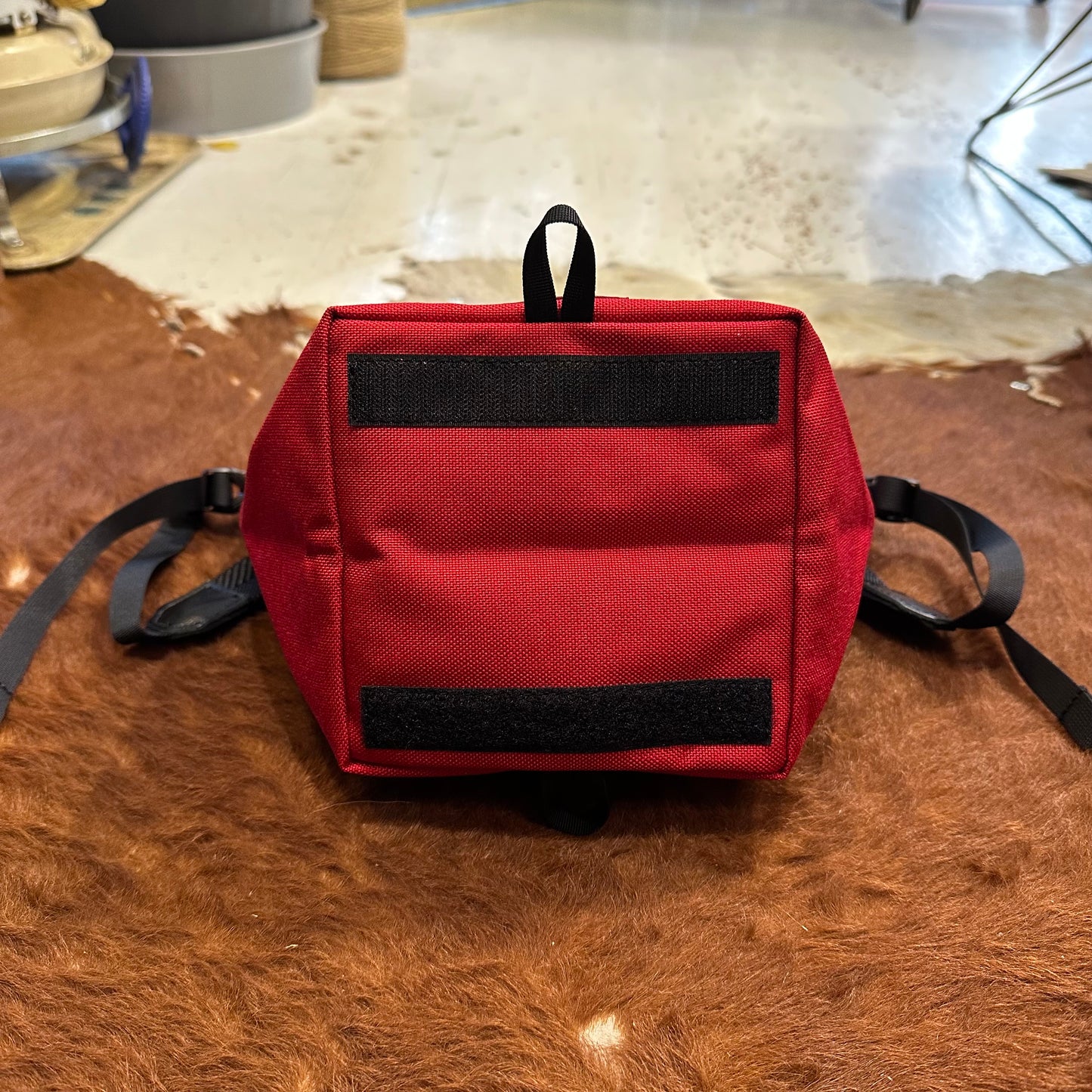 "2025 ZODIAC LIMITED EDITION / TABITIBI SNAKE"