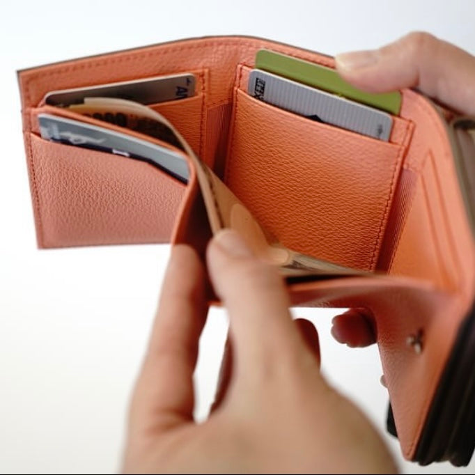 "HILLARY WALLET / TRIFOLD WALLET"