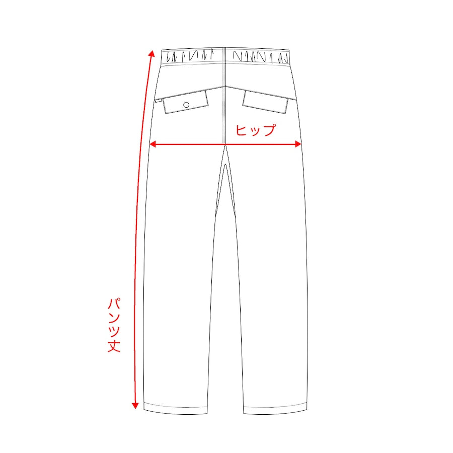 "BASIC HIKE PANTS"