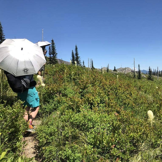 "SILVER SHADOW・SILVER SHADOW / CARBON"